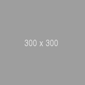 300x300